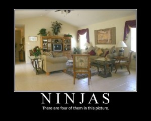 ninjasviathefunniestinfsc8