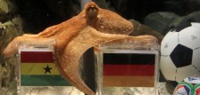 Paul the Octopus