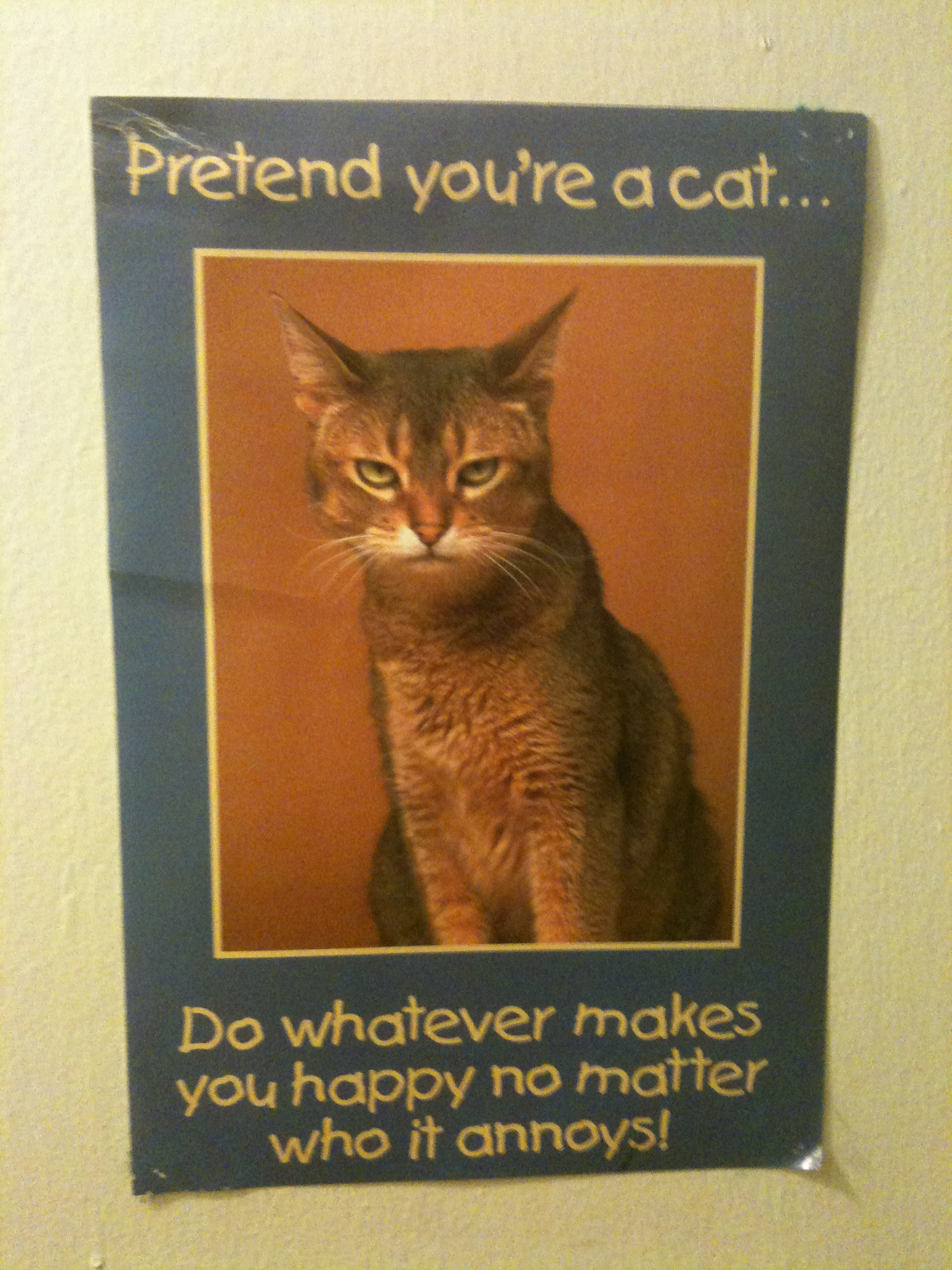 This is on the closet door just to the left of the cat wall.
